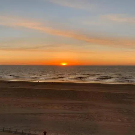 In Near The * Koksijde